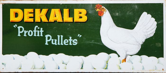 Ken Depew Country Store Collection, Auto Tags and Toppers,Toys, Advertising and More Auction - 9341.jpg