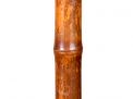 Henry Marder Estate Cane Absolute Auction - 35.jpg